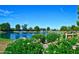 Picturesque pond with fountains, surrounded by lush greenery and colorful flowerbeds at 17162 N Winding Trl, Surprise, AZ 85374