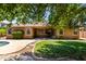Expansive backyard with a covered patio, lush lawn, and mature trees, great for outdoor living at 18492 E Oak Hill Ln, Queen Creek, AZ 85142