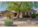 Charming single-story home with a well-maintained front yard, mature tree, and desert landscaping at 18492 E Oak Hill Ln, Queen Creek, AZ 85142
