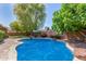 Sparkling pool with beautiful landscaping, enhancing the backyard's appeal at 18492 E Oak Hill Ln, Queen Creek, AZ 85142