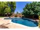 Sparkling pool surrounded by lush landscaping in a private backyard setting at 18492 E Oak Hill Ln, Queen Creek, AZ 85142