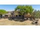 Large backyard with mature trees and desert landscaping, surrounded by a block wall at 2406 N 142Nd Ave, Goodyear, AZ 85395
