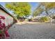 Spacious gravel backyard with mature trees and colorful flowers, perfect for relaxation and outdoor gatherings at 2534 N 10Th St, Phoenix, AZ 85006