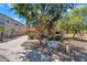 Charming home exterior with a large tree in the front yard at 6469 W Ruth Ave, Glendale, AZ 85302