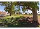 Lush green golf course framed by mature trees, offering a serene and picturesque neighborhood view at 7512 W Tonto Dr, Glendale, AZ 85308