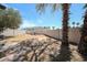 Fenced backyard featuring desert landscaping, palm trees, a patio, and an exterior view of the home at 8521 W Mauna Loa Ln, Peoria, AZ 85381
