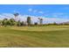 Lush green golf course with meticulously manicured greens surrounded by beautiful desert landscaping at 9241 S 50Th St, Phoenix, AZ 85044