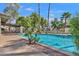 A community swimming pool surrounded by palm trees and wrought iron fencing for added security at 9241 S 50Th St, Phoenix, AZ 85044