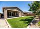 Inviting backyard featuring a green lawn, covered patio, and lush perimeter landscaping at 9837 E Tiburon Ave, Mesa, AZ 85212