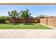 A spacious backyard featuring a manicured lawn, mature trees, and brick perimeter wall for added privacy at 9837 E Tiburon Ave, Mesa, AZ 85212