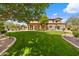 Expansive backyard boasts lush lawn, covered patio with seating, mature trees, and landscaping for outdoor enjoyment at 10182 E Gilded Perch Dr, Scottsdale, AZ 85255