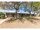 Exterior shot of a well-maintained single story home with mature trees and desert landscaping at 10401 N 108Th Ave, Sun City, AZ 85351
