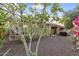 Private backyard with gravel, covered patio, fig tree, flower bed, and grill at 12972 W Kokopelli Dr, Peoria, AZ 85383