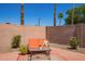 Cozy backyard patio with comfortable seating, desert plants, and a decorative rug at 174 W Del Rio St, Gilbert, AZ 85233