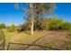 The home has a huge backyard surrounded by lush greenery and mature trees at 17913 E Watford Dr, Queen Creek, AZ 85142