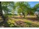 Expansive backyard featuring mature trees and a lush green lawn at 17913 E Watford Dr, Queen Creek, AZ 85142