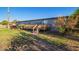 Exterior view of a single story home with a wooden deck and well maintained lawn at 17913 E Watford Dr, Queen Creek, AZ 85142