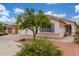 Charming front yard with mature landscaping and plenty of curb appeal at 18562 N Alamo Dr, Surprise, AZ 85374