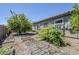 Spacious backyard with garden, lush greenery, and well-maintained plants at 18617 E Arrowhead Trl, Queen Creek, AZ 85142