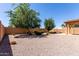 Spacious desert landscaped backyard with trees and privacy wall at 18896 N Lariat Rd, Maricopa, AZ 85138