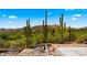 View of foundation and surrounding desert vegetation at 38940 N 54Th St, Cave Creek, AZ 85331