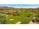 Scenic desert golf course surrounded by vibrant landscaping and upscale residential properties at 38940 N 54Th St, Cave Creek, AZ 85331
