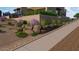 Attractive desert landscaping with a variety of plants, flowers and rock detail next to a modern home at 38940 N 54Th St, Cave Creek, AZ 85331