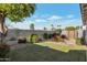 Landscaped backyard with well-maintained lawn, colorful shrubbery, and mature shade tree at 510 W Marconi Ave, Phoenix, AZ 85023