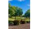 Lush community greenbelt featuring mature trees, red flowering bushes and scenic views at 6343 W Sophie Ln, Laveen, AZ 85339