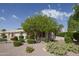Inviting single-story home featuring desert landscaping, mature trees, and an attached two-car garage at 722 N Butte Ave, Chandler, AZ 85226