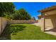 Backyard features a manicured lawn, stucco wall, and mature trees at 1071 E Chelsea Dr, San Tan Valley, AZ 85140