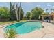 Sparkling pool with a sun-soaked patio and lush landscaping offers the perfect spot for relaxation and outdoor enjoyment at 11051 N 45Th Pl, Phoenix, AZ 85028