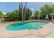 Inviting backyard pool surrounded by mature trees and a spacious patio, ideal for entertaining and relaxation at 11051 N 45Th Pl, Phoenix, AZ 85028