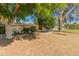 Spacious backyard with established trees offering ample shade at 15610 N 98Th Ave # 26, Sun City, AZ 85351