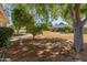 Large backyard featuring mature trees, landscaping, and a charming yard at 15610 N 98Th Ave # 26, Sun City, AZ 85351