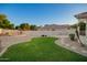 Spacious backyard with lush green grass, mature trees, and potential for outdoor activities at 2406 E Oakland St, Chandler, AZ 85225