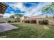 Expansive backyard features a well-maintained lawn, decorative shrubs, and block wall at 2557 N Springfield St, Buckeye, AZ 85396
