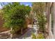 A view of the side yard featuring lush greenery, blooming trees, and a paved walkway along the property at 285 W Goldfinch Way, Chandler, AZ 85286
