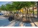 A tranquil spot with shade trees and a bicycle rack, inviting visitors to pause and enjoy the outdoors at 4337 S Helix --, Mesa, AZ 85212