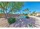Private backyard featuring a sparkling pool, mature trees, and desert landscaping at 4815 E Everett Dr, Scottsdale, AZ 85254