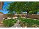 Lush backyard featuring mature trees, garden, and a serene pathway at 509 W Boxelder Pl, Chandler, AZ 85225
