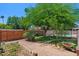 Well maintained backyard featuring mature trees, garden area, and fencing at 509 W Boxelder Pl, Chandler, AZ 85225