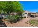 Spacious backyard with mature trees, landscaping, and potential garden area at 509 W Boxelder Pl, Chandler, AZ 85225