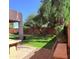 Spacious backyard with green grass, mature trees, and a stone bench for relaxing at 6657 W Aurora Dr, Glendale, AZ 85308