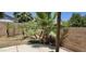 Landscaped backyard featuring palms and rock at 6722 W Shannon St, Chandler, AZ 85226