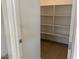 Walk-in pantry providing ample storage space with multiple shelves and easy access at 7209 E Blissful Breeze Ln, San Tan Valley, AZ 85143