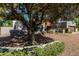 View of the home with a large mature tree in front and desert landscaping at 9203 S Heather Dr, Tempe, AZ 85284