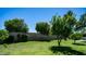 Beautiful backyard with mature citrus trees, a brick wall, and a well-maintained green lawn at 9911 W Pleasant Valley Rd, Sun City, AZ 85351