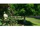 Picturesque backyard featuring flowering bushes and lush trees at 9911 W Pleasant Valley Rd, Sun City, AZ 85351
