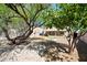 Large backyard with mature trees, offering shade and privacy at 13261 W Gelding W Cir, Surprise, AZ 85379